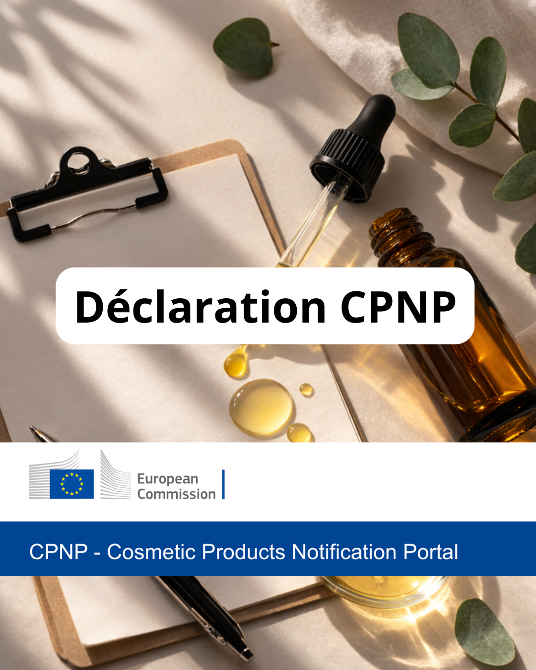 Déclaration CPNP