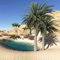 Jardin Oriental