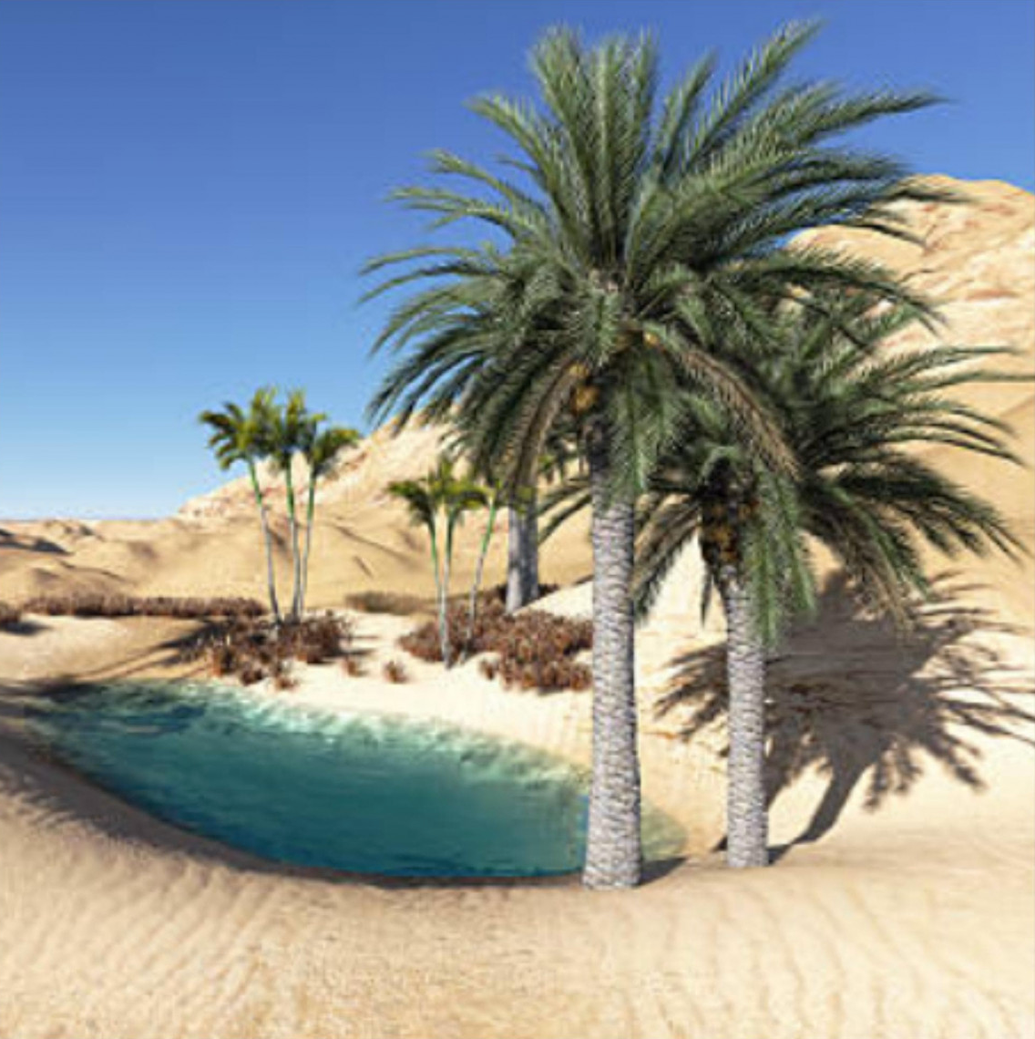 Jardin Oriental