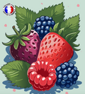 Fruits Rouges