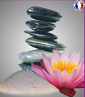 Sel de Mer & Fleur de Lotus