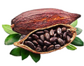 Arôme Cacao