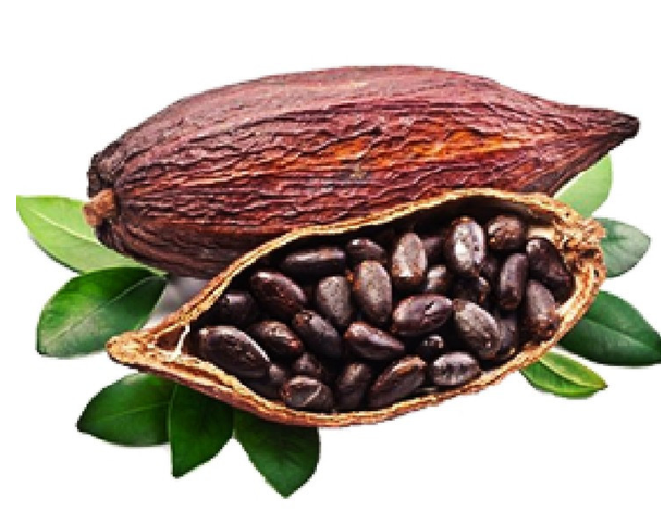 Arôme Cacao