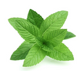 Arôme Menthe
