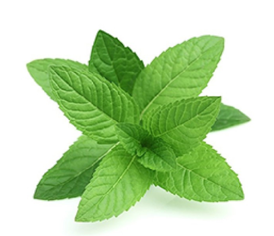 Arôme Menthe