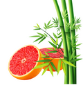 Bambou Pamplemousse