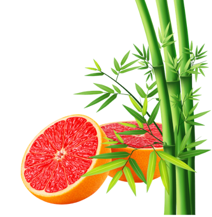 Bambou Pamplemousse