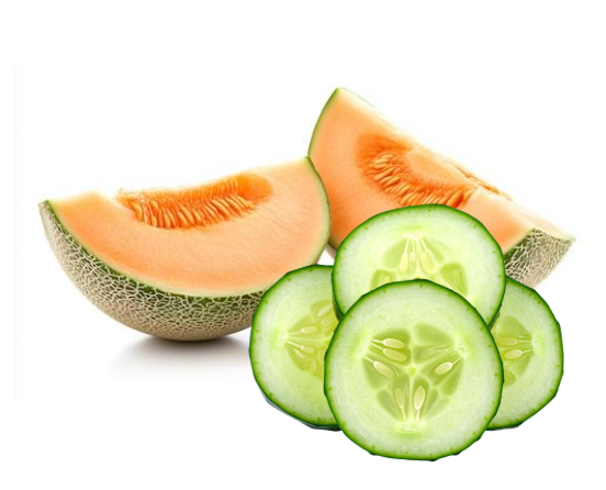 Concombre Melon