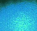 Mica Bleu pétillant