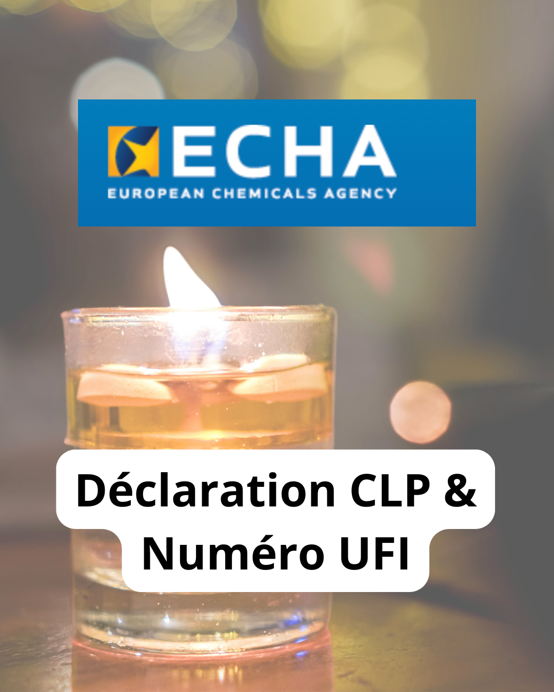 Déclaration portail ECHA