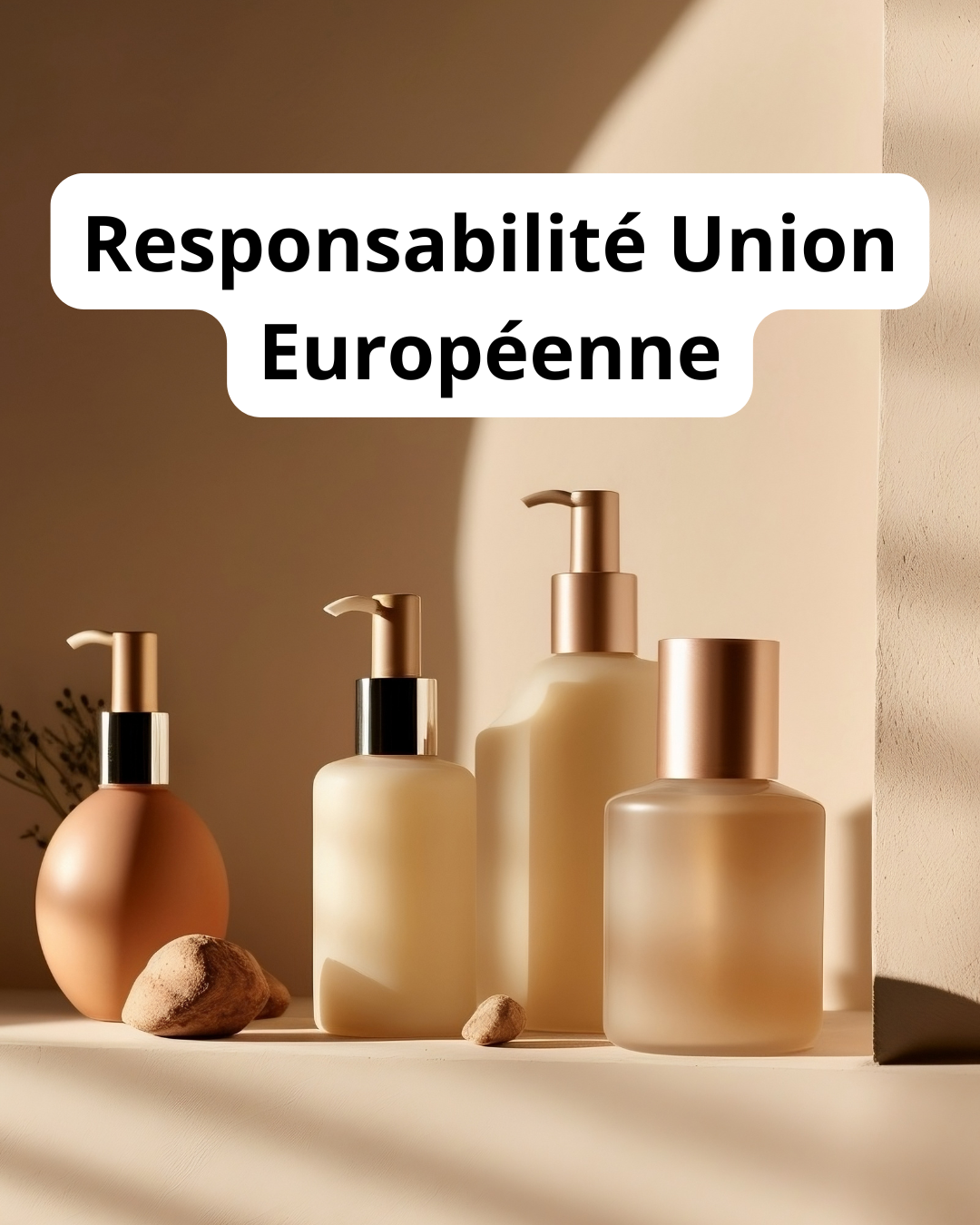 Personne responsable dans l'UE.